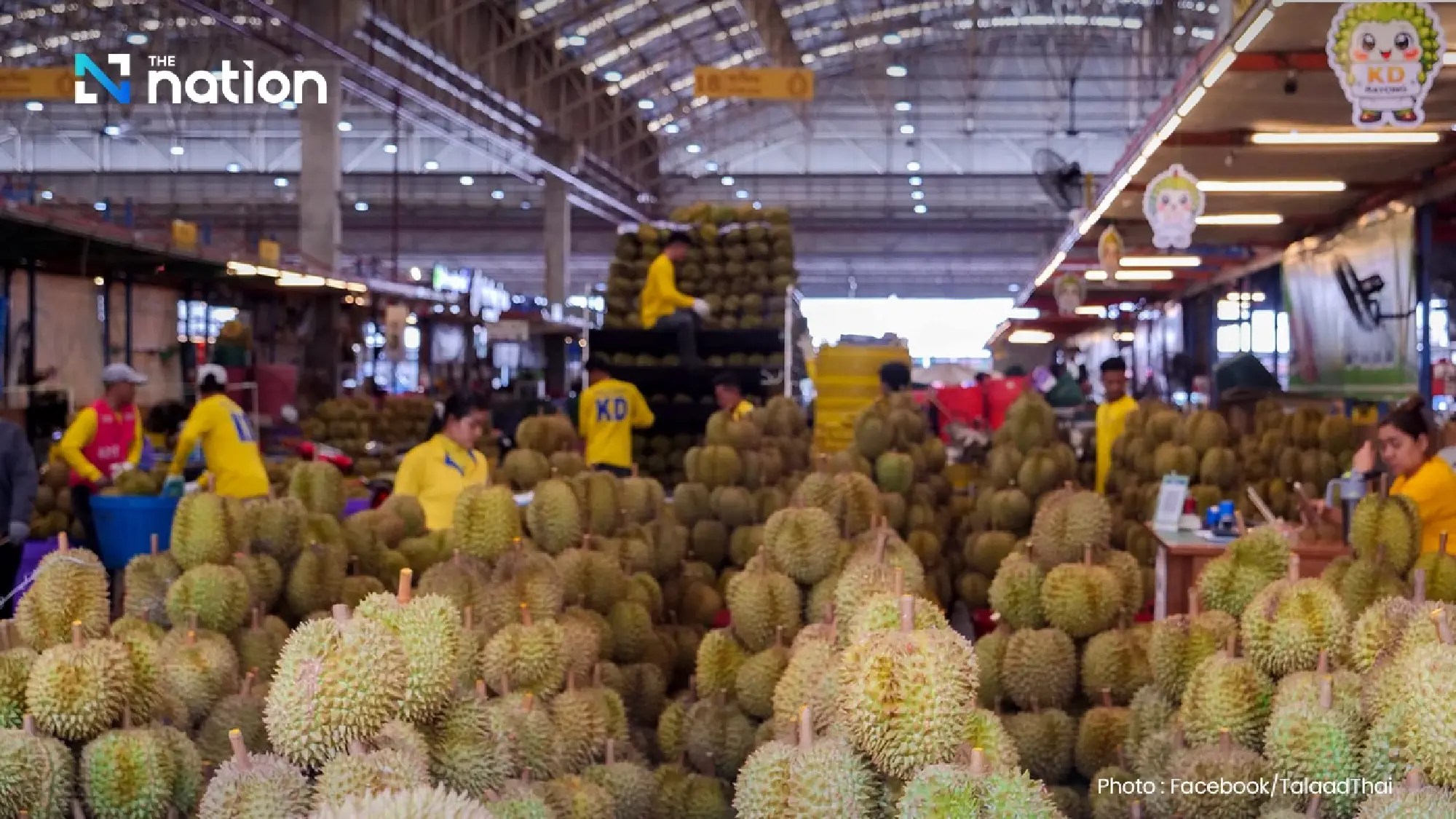 Akankan Durian Thailand Masih Jadi Raja Buah Dunia? ini Dramanya